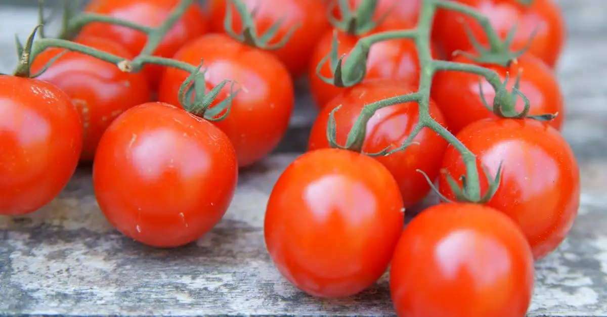 AH vegan assortiment: de beste plantaardige producten.