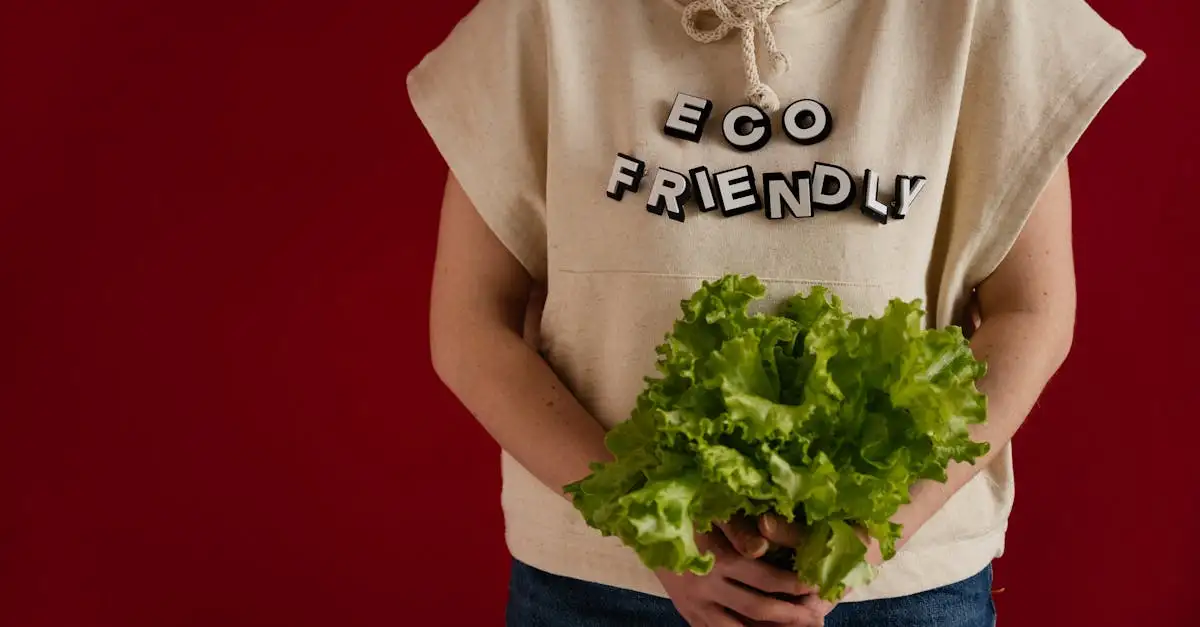 Duurzame vegan kleding en schoenen van Donna online