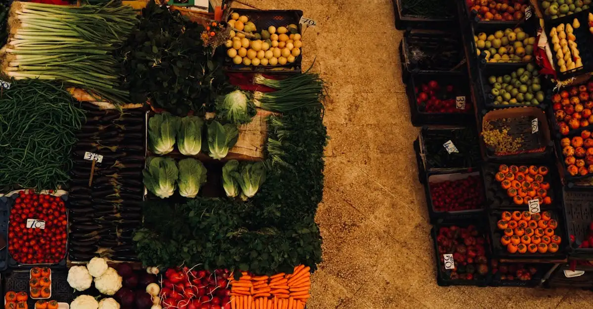 Goedkoop vegetarisch eten: bespaar slim op je boodschappen
