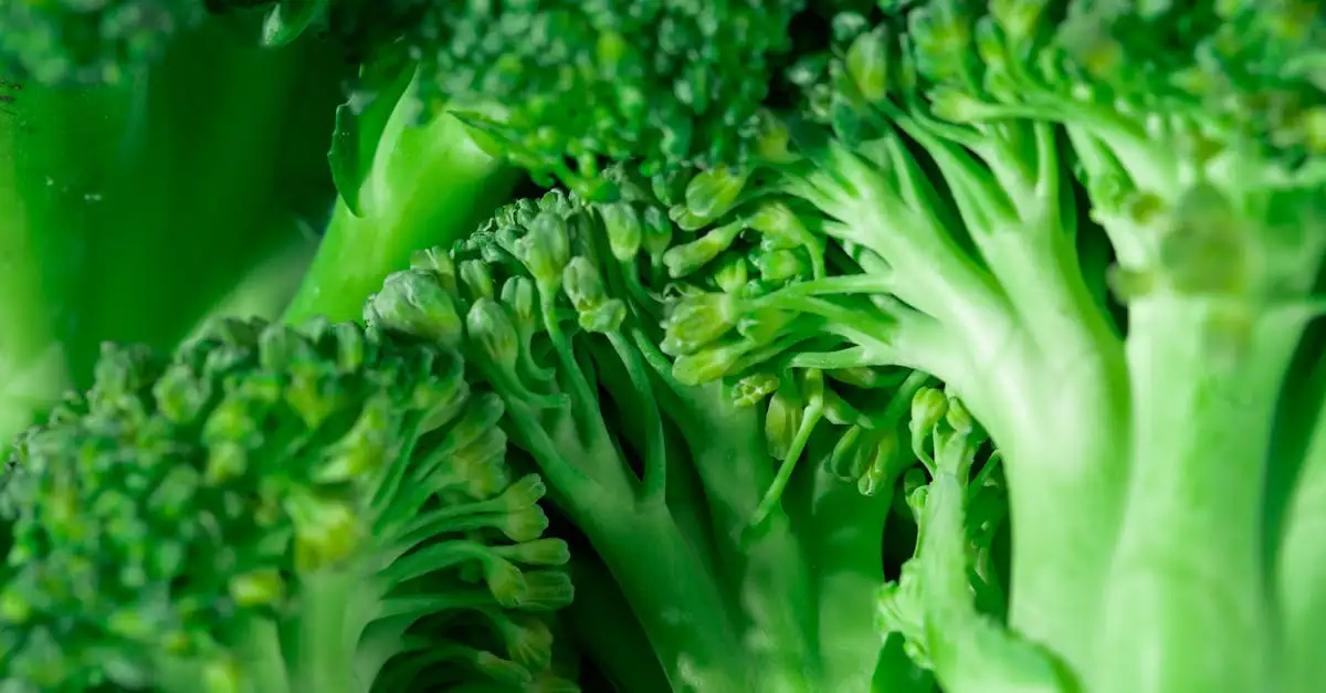 Like Vegan: De beste keuze voor plantaardige producten.