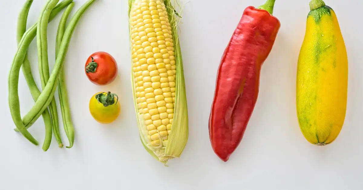 Slow cooker vegetarisch: makkelijke recepten en tips